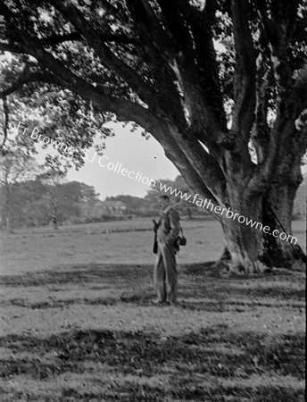 GENTLEMAN UNDER TREE